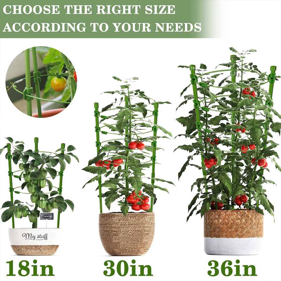 Durable Thickened Plastic Plan - Vine Climbing Plastic ulasan dan harga