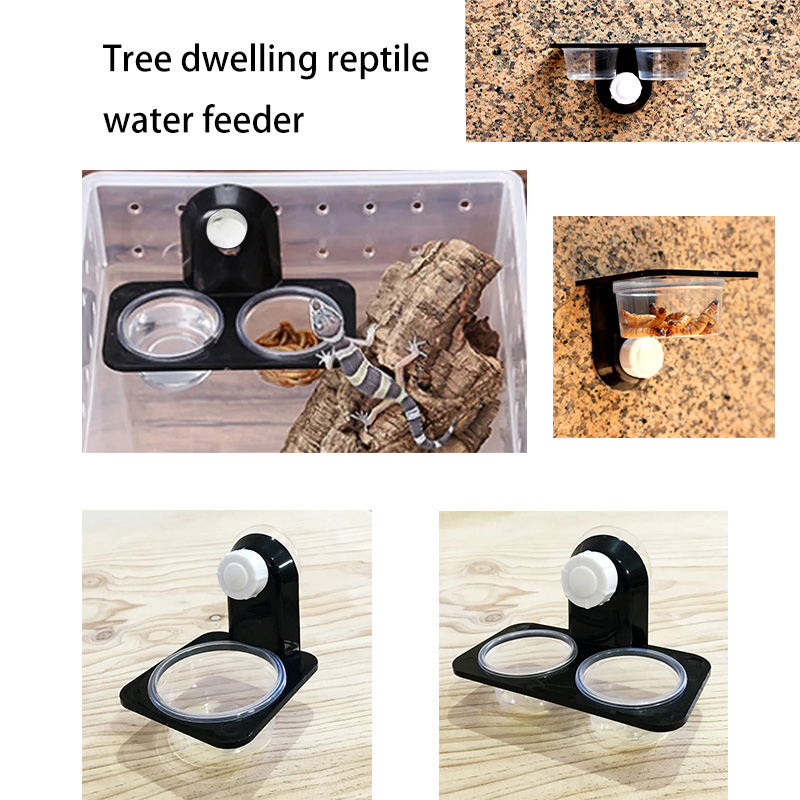 Reptile Tank Accessories Insec - Water Dish Reptile ulasan dan harga
