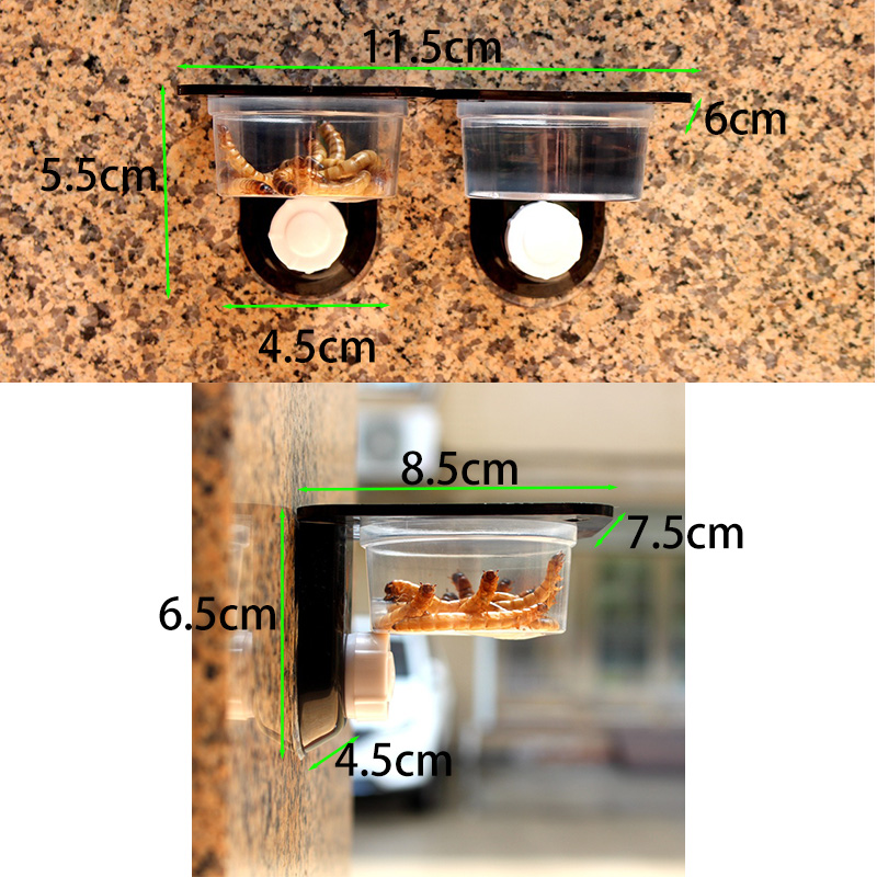 Reptile Tank Accessories Insec - Water Dish Reptile ulasan dan harga