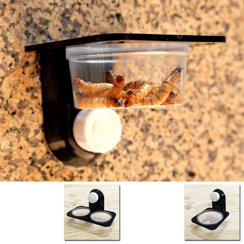 Reptile Tank Accessories Insec - Water Dish Reptile ulasan dan harga