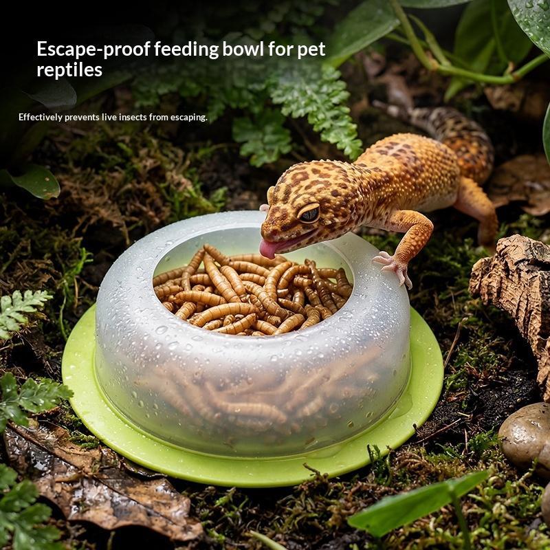 1Pc ABS Reptile Feeding Dish A - Water Dish Reptile ulasan dan harga