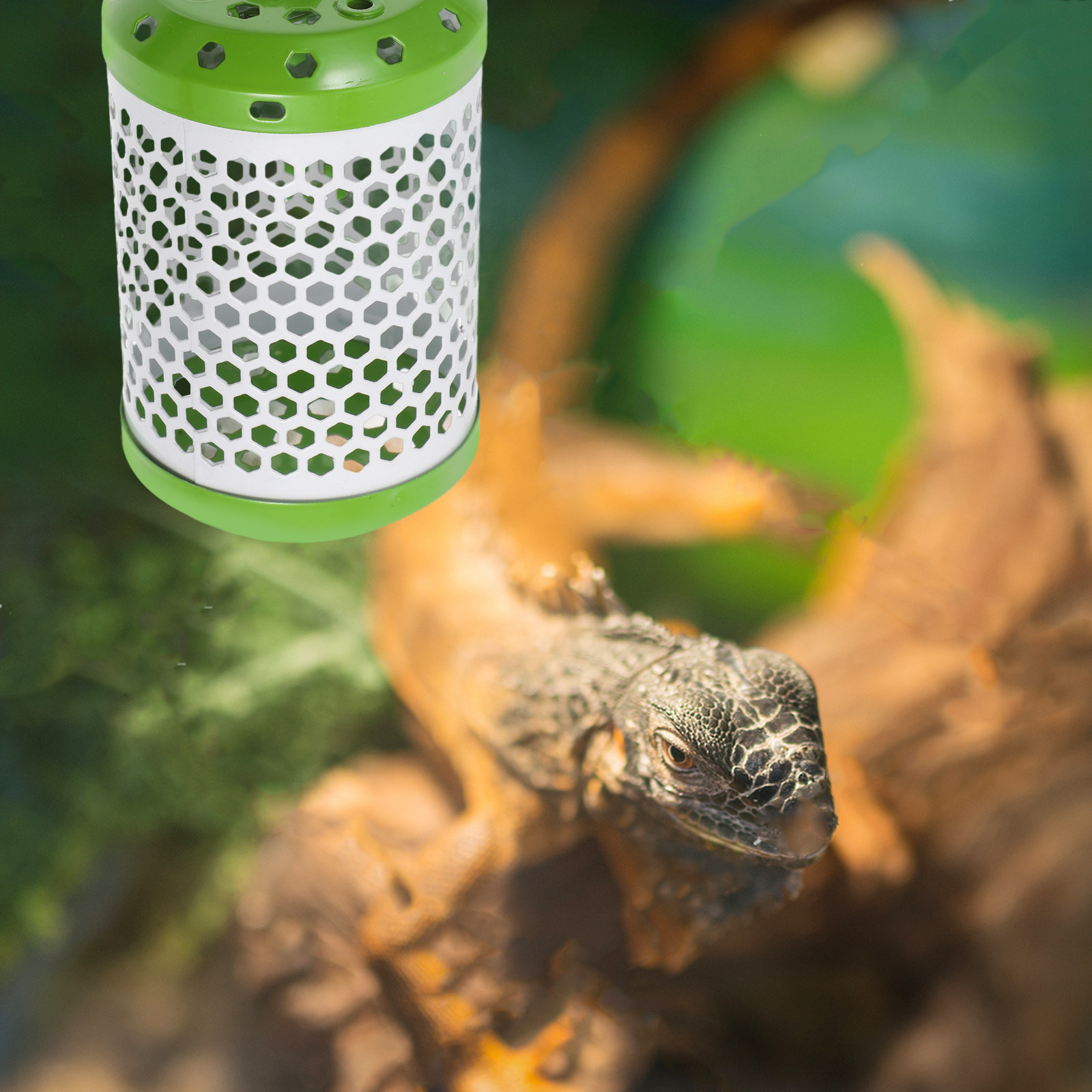 Adjustable Reptile Heat Lamp G - Ceramic Heat Emitter ulasan dan harga