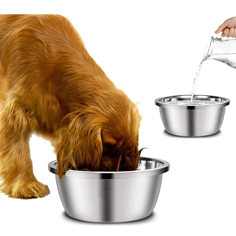 A Stainless Steel Dog Feeders  - Royal Canin Food Medium ulasan dan harga