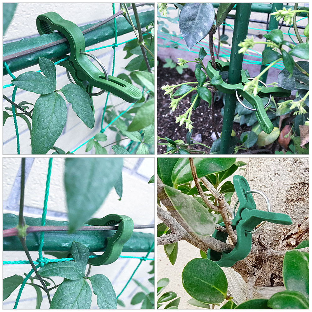 60Pcs Plastic Plant Support Cl - Vine Climbing Plastic ulasan dan harga